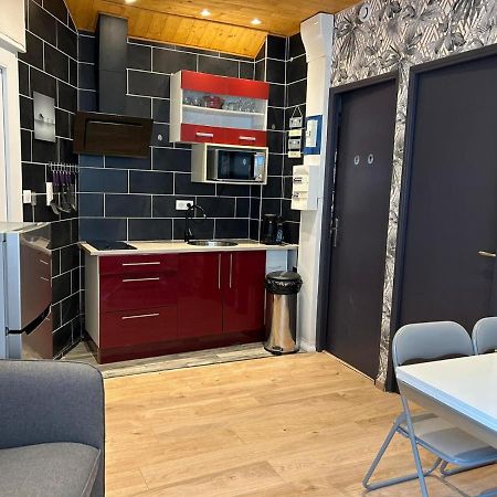 Appartement De Luxe En R/C Idealment Place En Hyper Centre ルルド エクステリア 写真