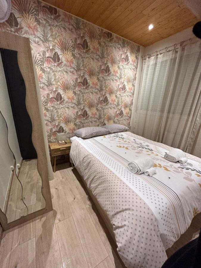 Appartement De Luxe En R/C Idealment Place En Hyper Centre ルルド エクステリア 写真