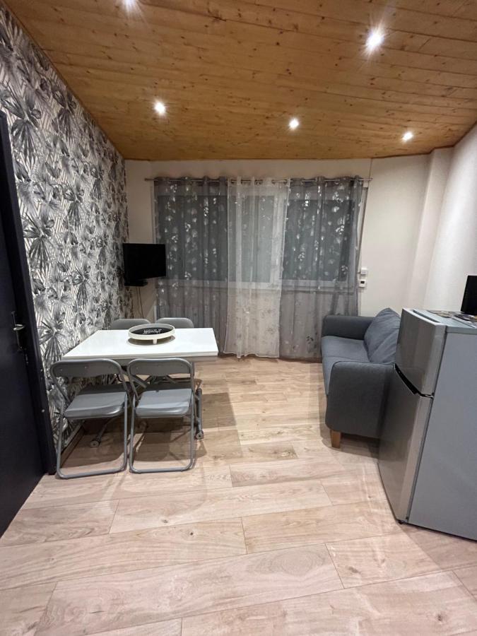 Appartement De Luxe En R/C Idealment Place En Hyper Centre ルルド エクステリア 写真